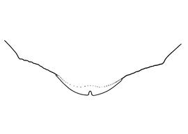   Anthidium sonorense  female, diagram showing the dorsal view of the sixth tergite (T6), diagram from Gonzalez and Griswold 2013 

